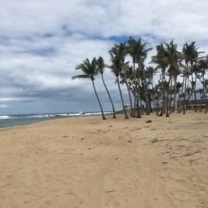 Meet your Posher, Irina